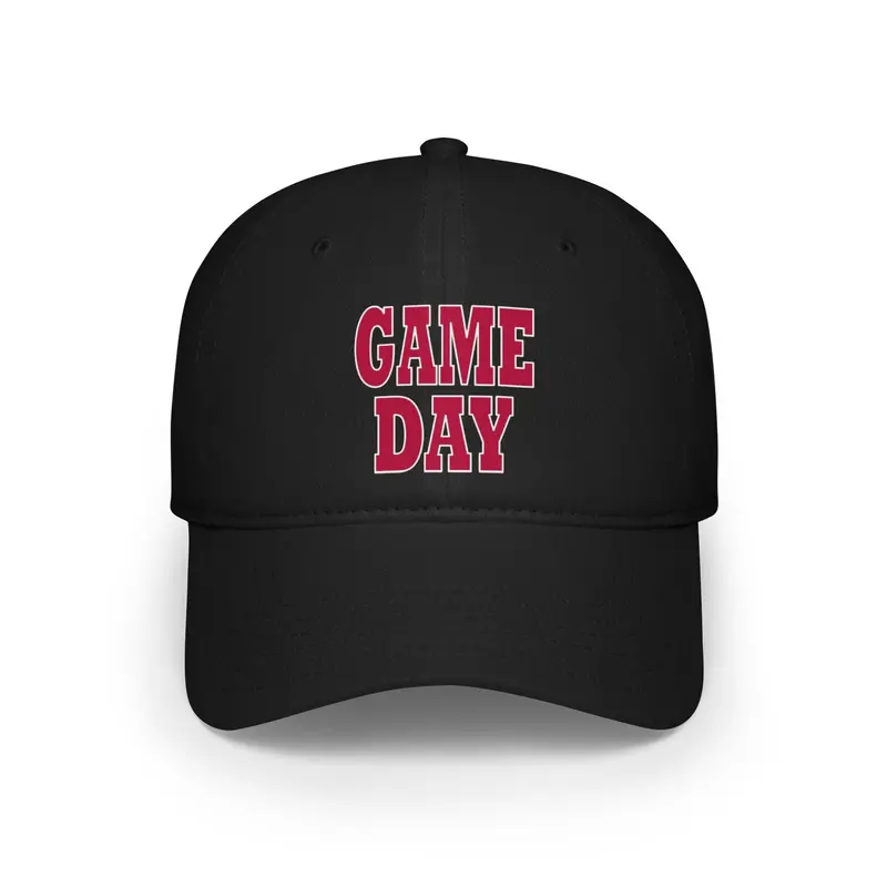 Arizona Low Profile Baseball Cap 3