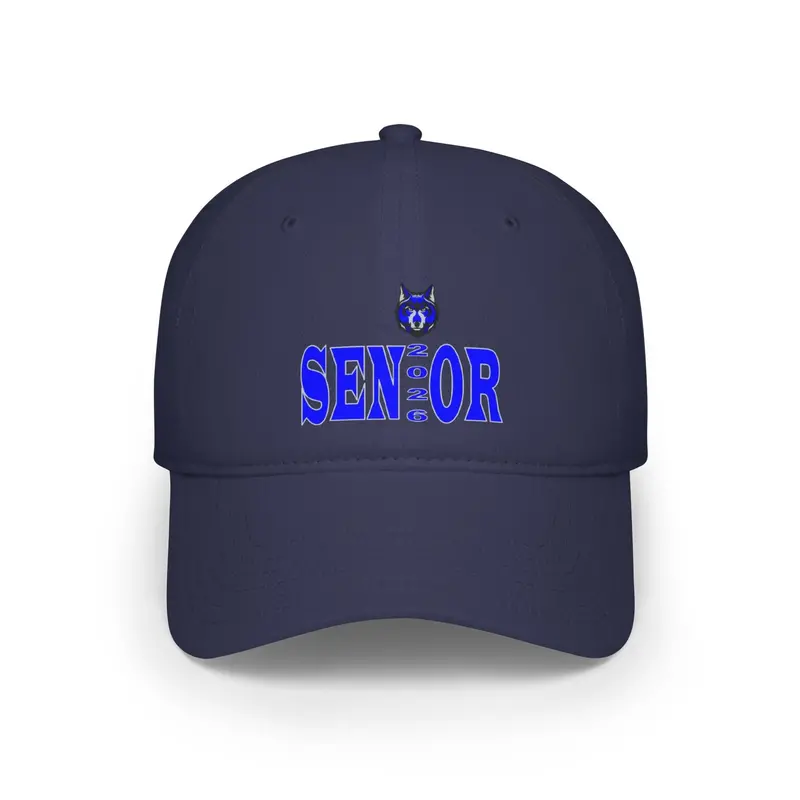 Parkwood Hs Low Profile Baseball Cap 3