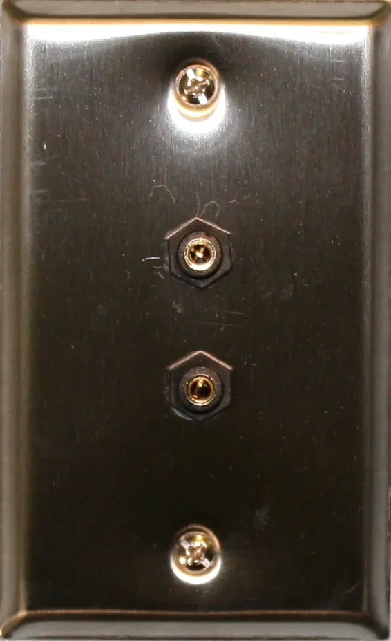 S/S Plate (2) 3.5Mm Stereo 1